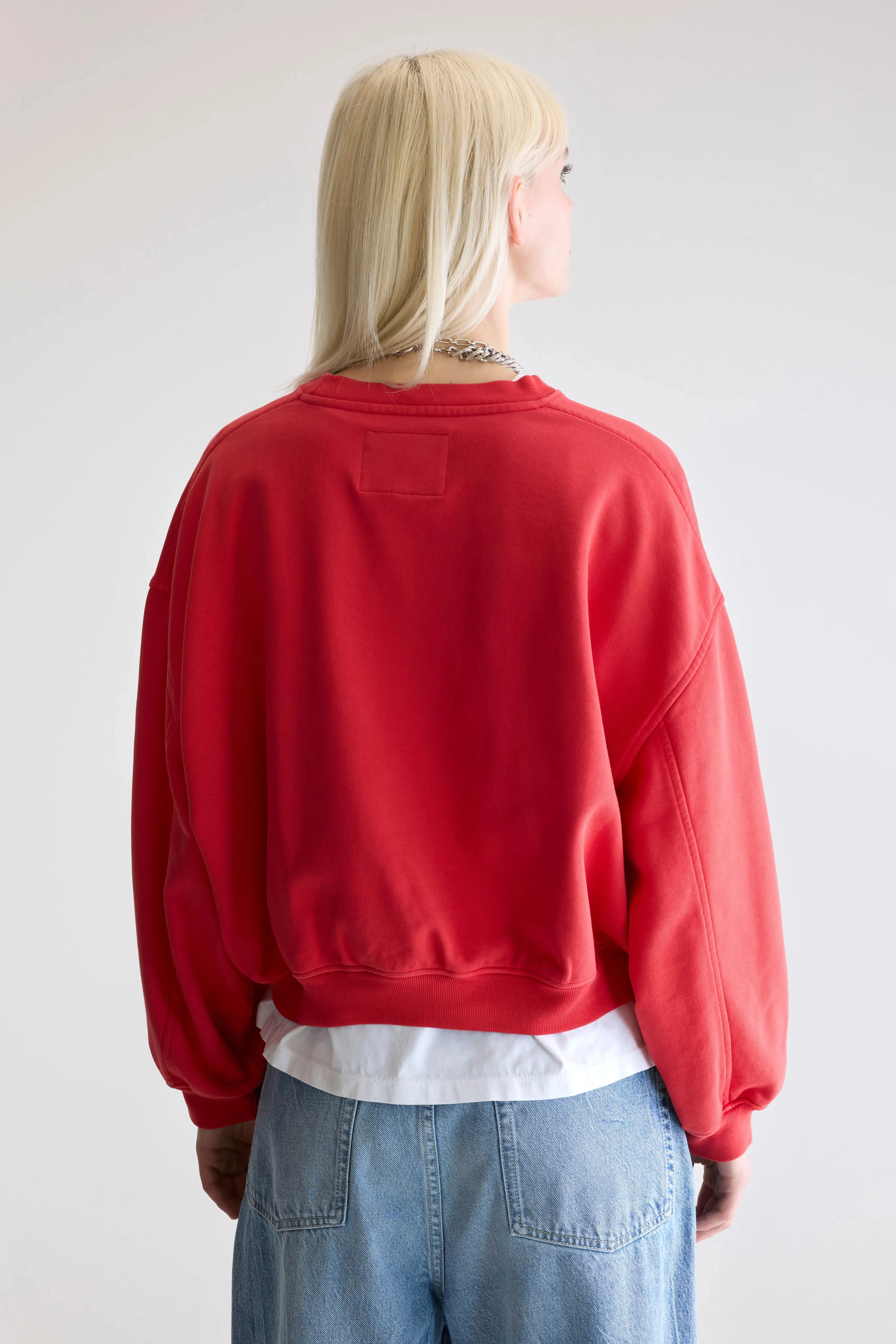 Fancy cropped crewneck sweatshirt (252 / W / SANGUINE) Neutral Tones