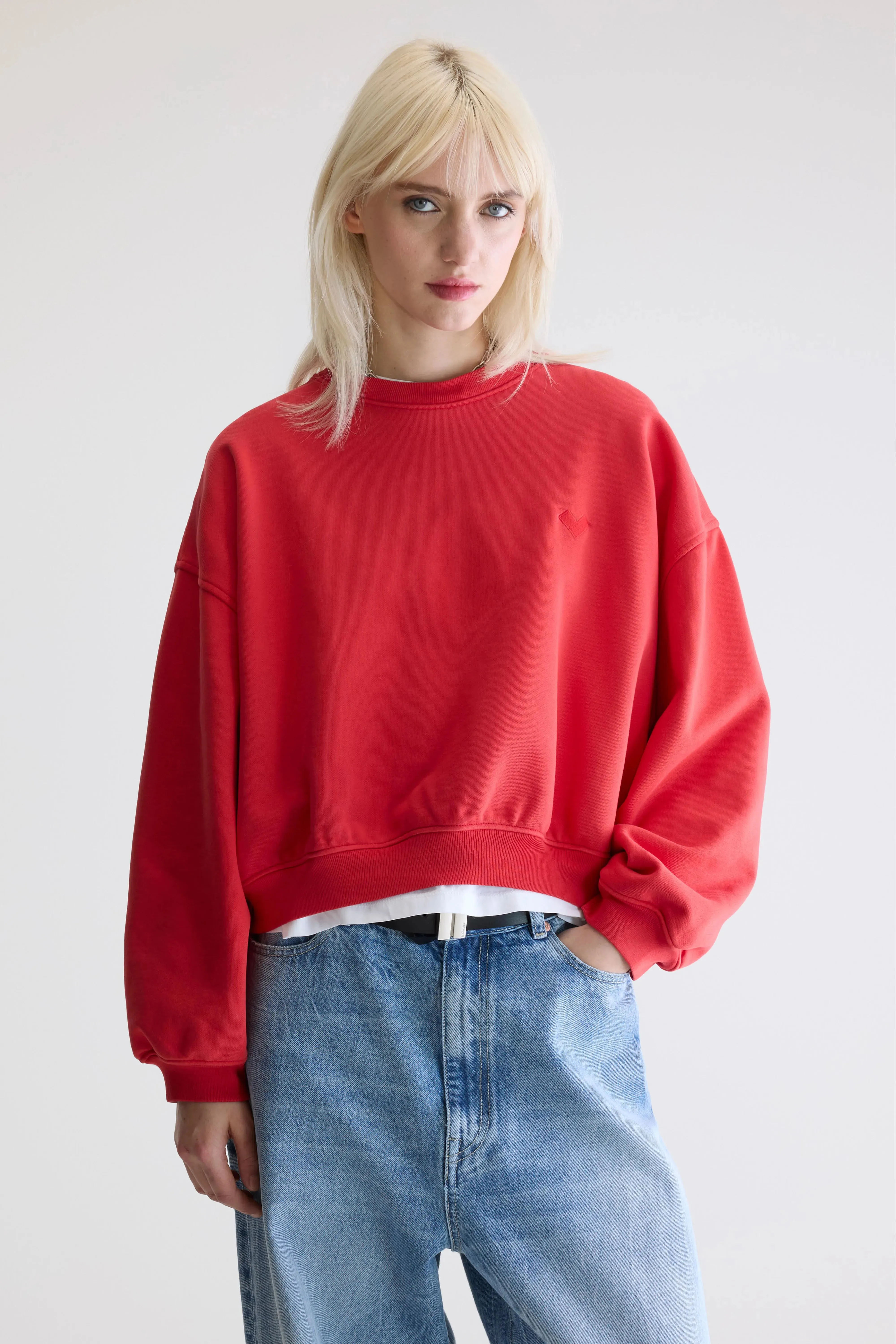 Fancy cropped crewneck sweatshirt (252 / W / SANGUINE) Badger like