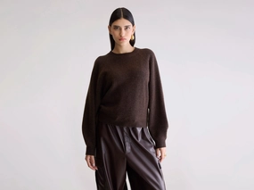On-The-Go Ameka Crewneck Sweater (252 / W / DARK ROAST)