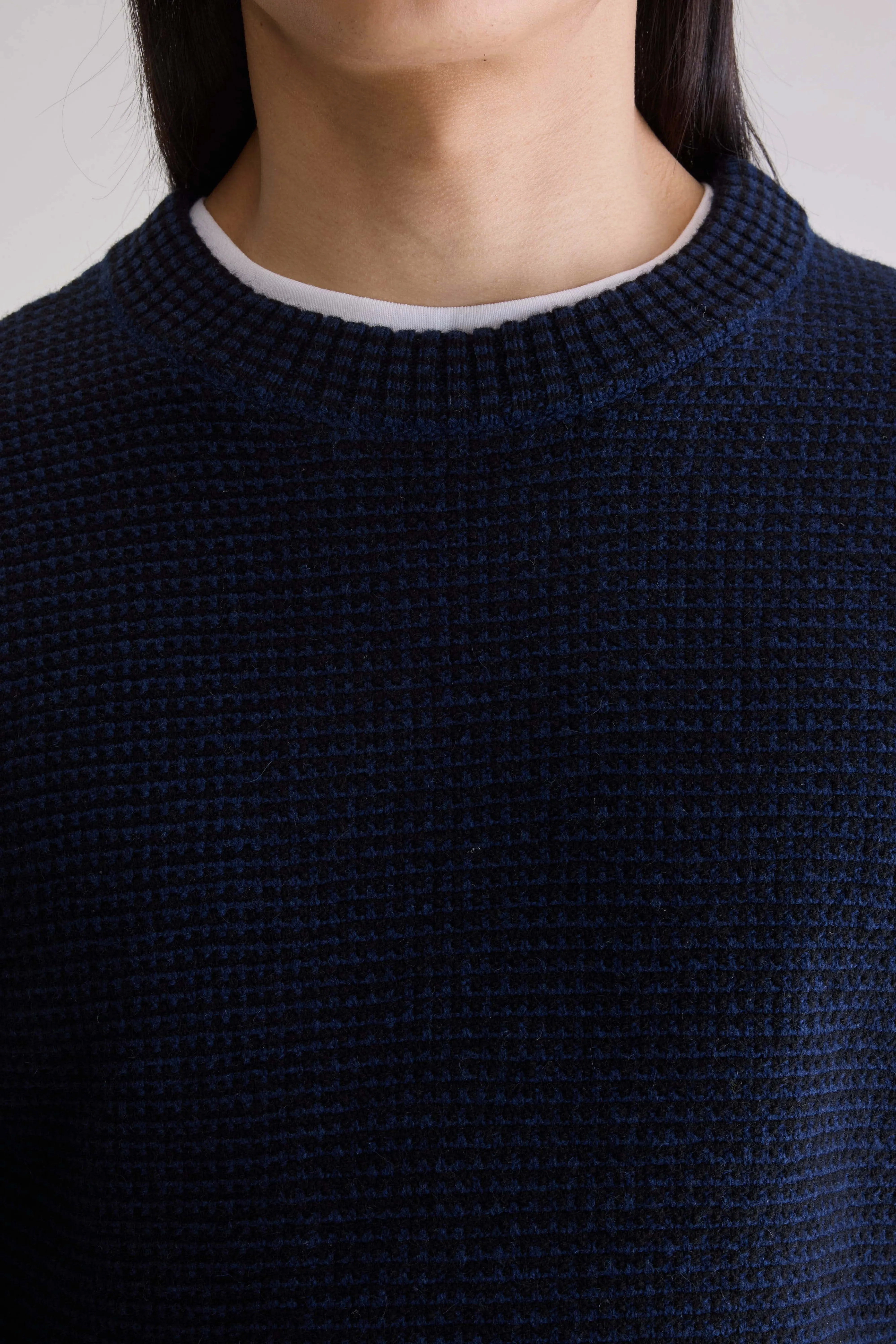 Allor crewneck sweater (252 / M / COMBO A) Compressed Stitch