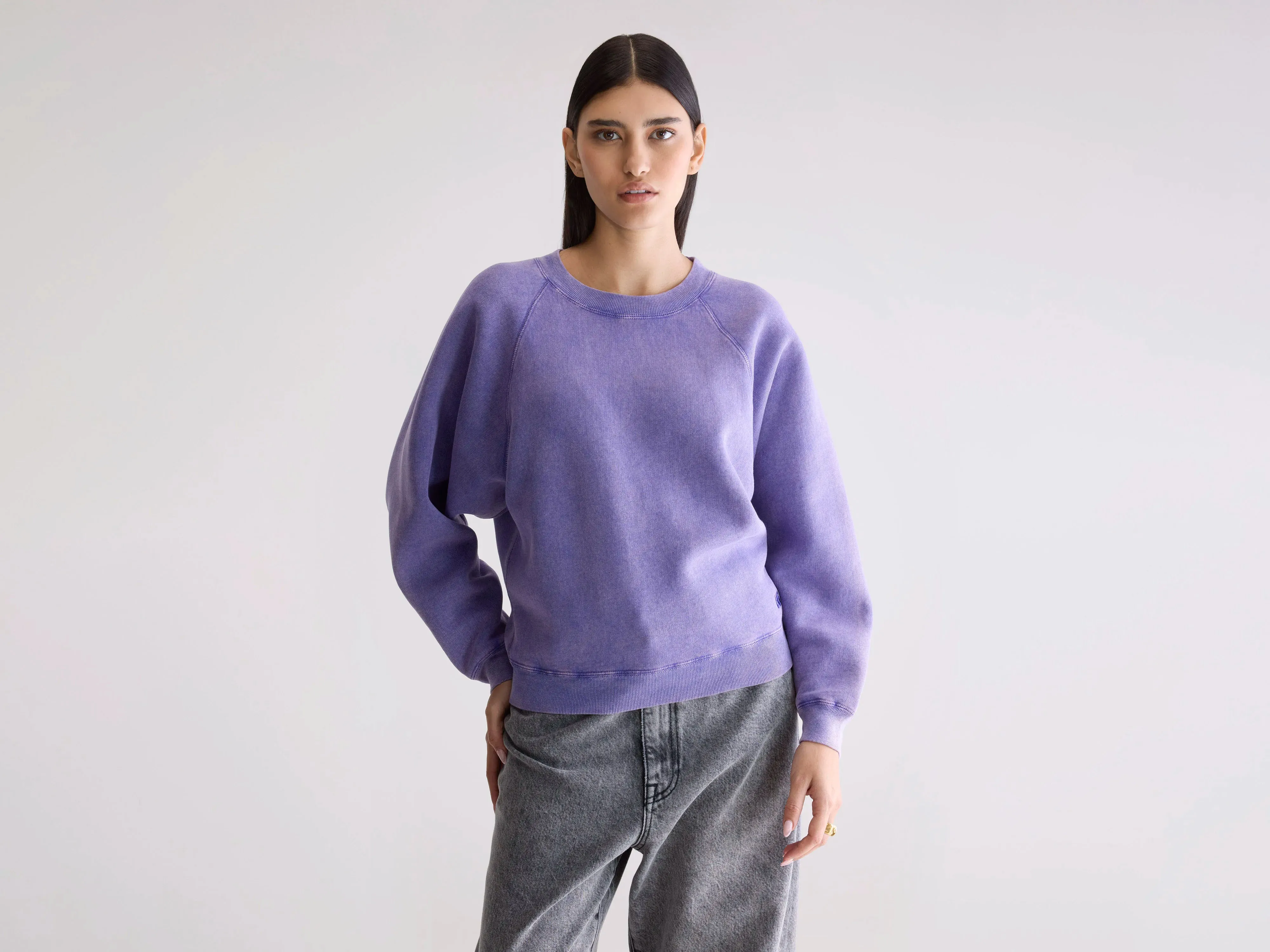 Fella relaxed sweatshirt (252 / W / PENSEE) Bobcat like