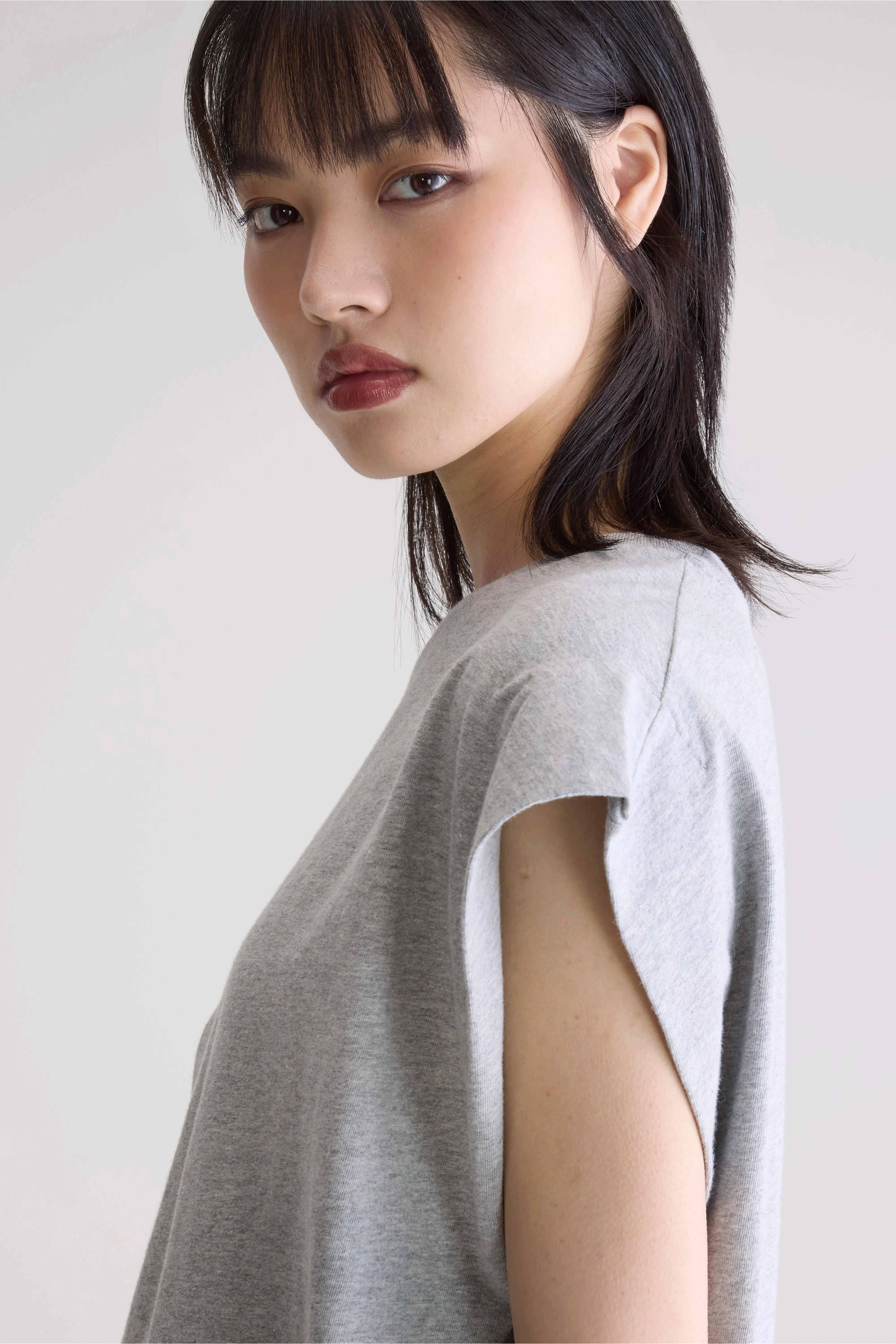 Functional Wear goes with jeans Vice crew-neck t-shirt (252 / W / H. GREY)