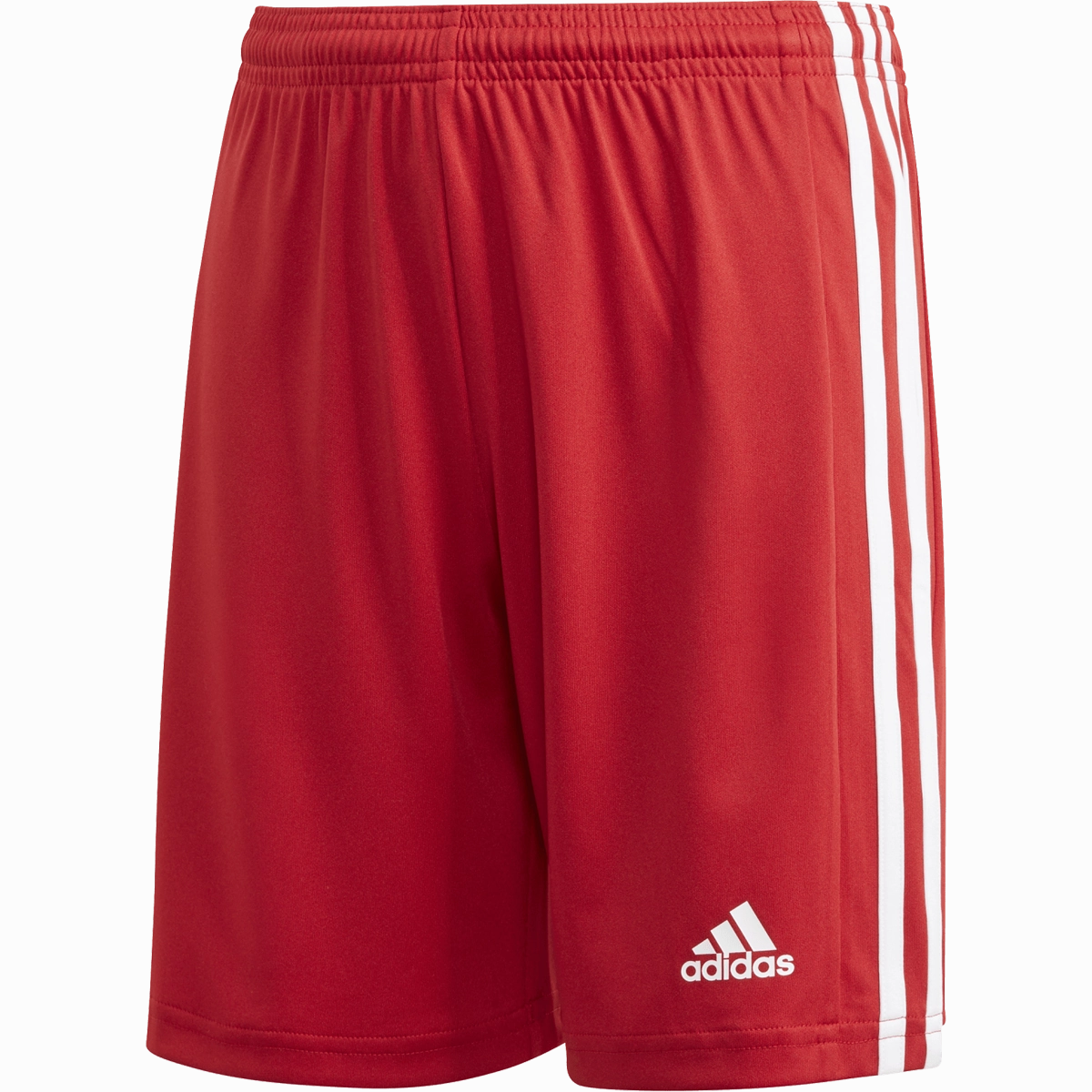 Youth Squadra 21 Short Leather shorts Workout Ready Design